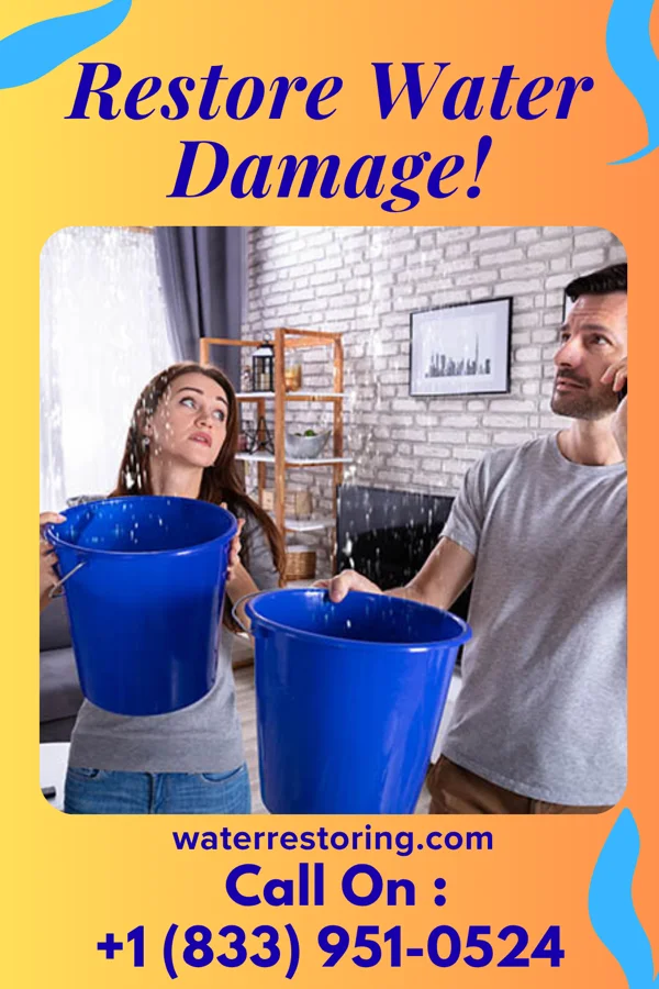water restoration Master Sewage Cleanup Inc Lawrenceville