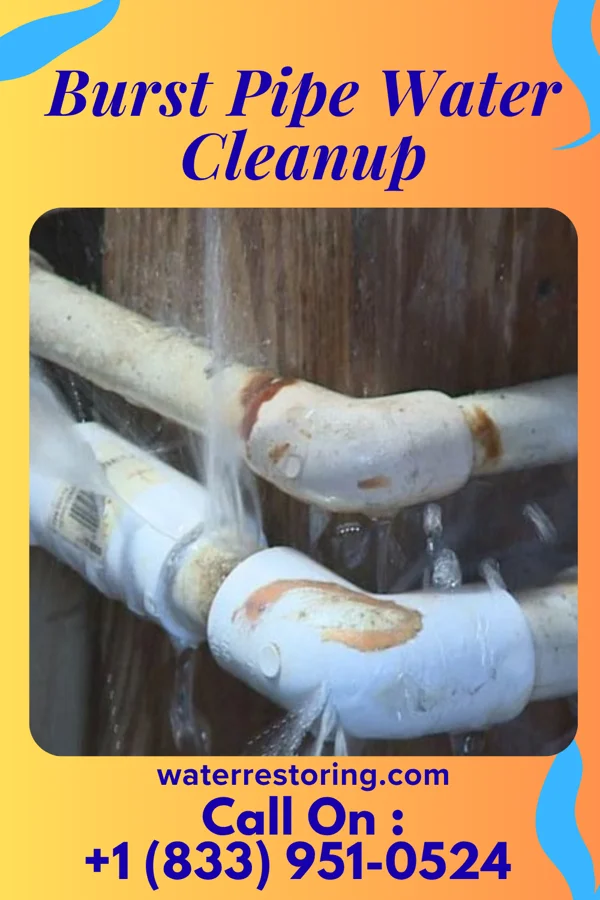 Burst Pipe Water Cleanup in Lawrenceville, OH