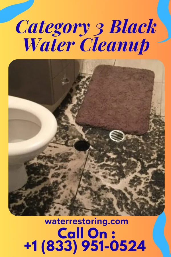 Category 3 Black Water Cleanup in Lawrenceville, OH
