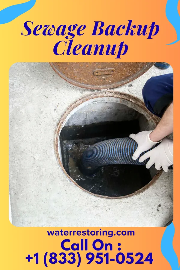 Sewage Backup Cleanup in Lawrenceville, OH